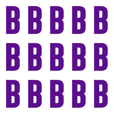ID4 Euro Large Purple Letter B 