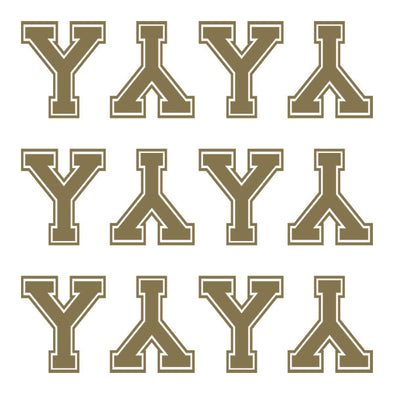 ID4 Varsity Large Gold Letter Y 