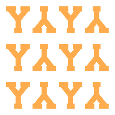ID4 Varsity Pro Large Neon Orange Letter Y 