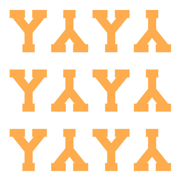 ID4 Varsity Pro Large Neon Orange Letter Y 